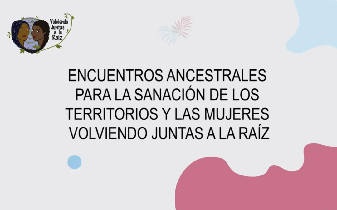 Volviendo juntas a la raíz: sanando el territorio y las mujeres