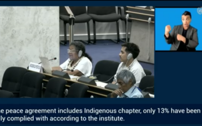 Mujeres de la Comisión Étnica para la Paz y la Defensa de los Derechos Territoriales «Volviendo Juntas a la Raíz»